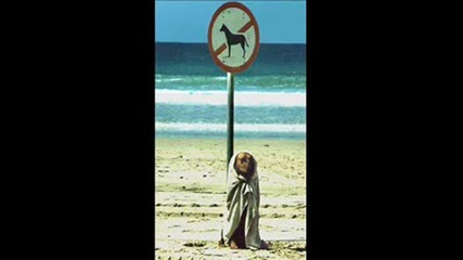 Cool Pics