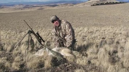 Coyote Hunting 2