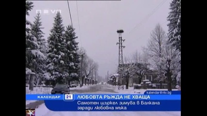 Любов по - силна от човешката, две щъркелови истории, Календар Нова телевизия 