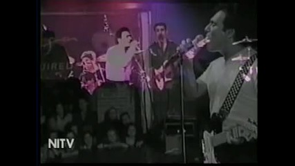 Andy Madadian Roya 