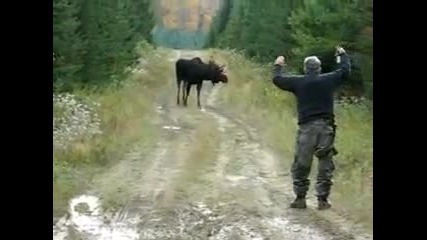 Голям елен