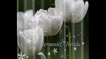 Myriam Hernandez-herida