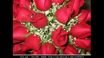 My Pictures.flv