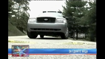 Криминални новини от света, 12 септември 2010, Pro Bg 