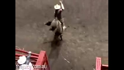 The Juice Australia Elixa Bull Riding 