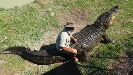 Този човек определено няма страх от крокодили