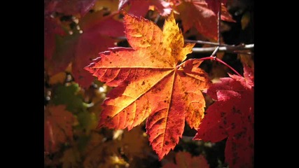 Temple One Feat. Hannah Ray - Autumn Leaves (estiva Remix) 