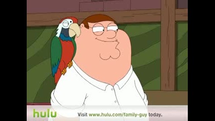 Family Guy - Parrot