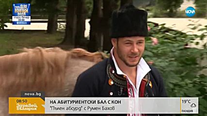 „Пълен абсурд”: На абитуриентски бал с кон