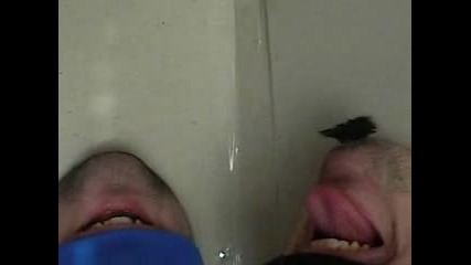 Smqh parody