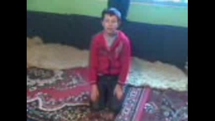 tayfa
