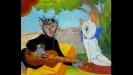 Tom And Jerry