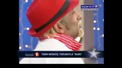 Tarik Menguc - Sude