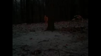 Paranormal