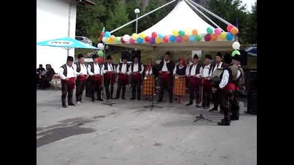 Празник на село Борово 2010 