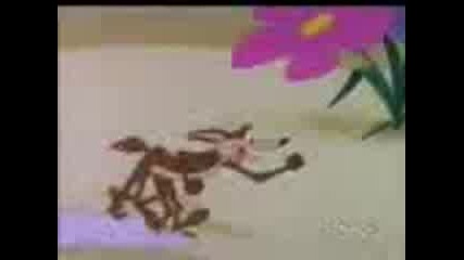 Road Runner i Wilie The Coyote - Супа Или Акустично