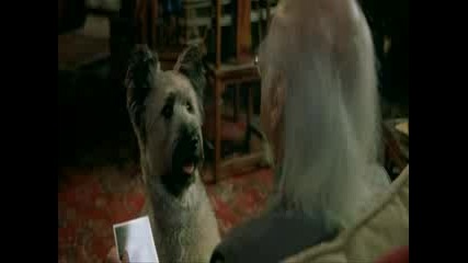 Karate.dog.2004.dvdrip.xvid.ac3. - View xvid.mp4