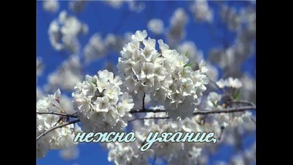 Честита Пролет На Всички ! :) 