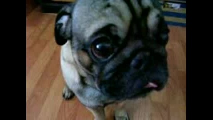 Max blabla