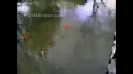 Catch Me If You Can