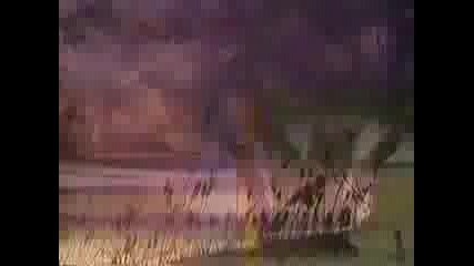 Blue Murder - Jelly Roll