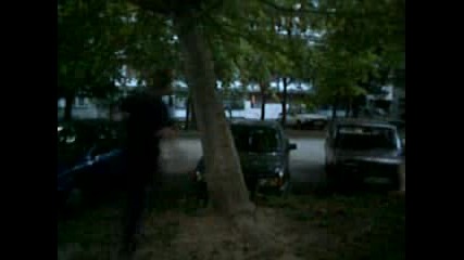 Freerun - Pk Pln2