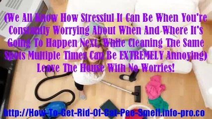 How To Get Rid Of Cat Pee Smell, Cat Spraying, Getting Rid Of Cat Urine Smell, Cat Urine Eliminator