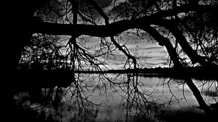 Trees Of Eternity - Black Ocean