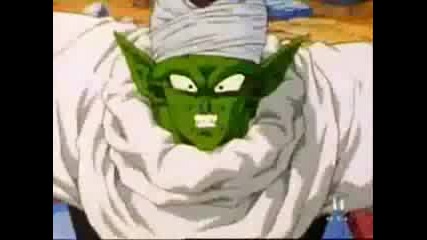 Piccolo Tribute 1
