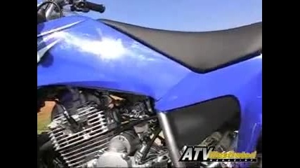 2008-2009 Yamaha Raptor 250 Review