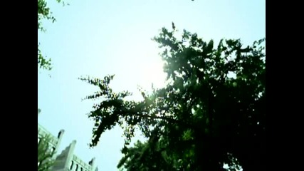 Lauryn Hill - Everything Is Everything Hd