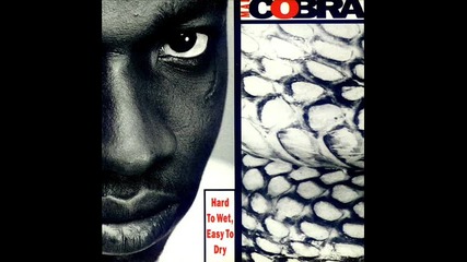 Mad Cobra - Really Do It 