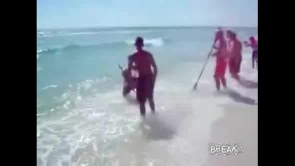 Човек Хваща Акула