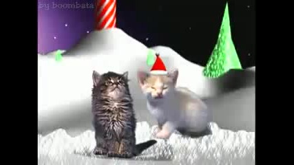 Котенца пеят Коледна песничка 