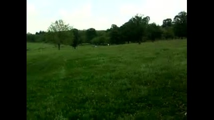 c Atv в Кубрат