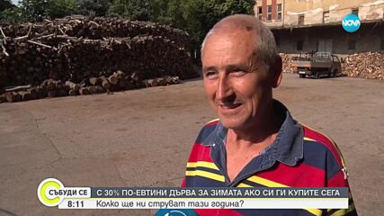 Колко ще ни струват дървата за огрев, ако ги купим отсега