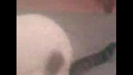 Vid000.3gp