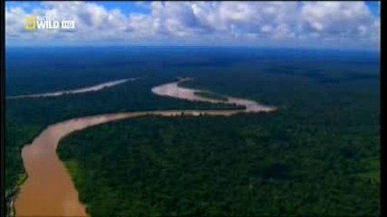 Завръщане в Амазония, част 1
