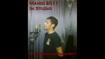 Mandi 2011 