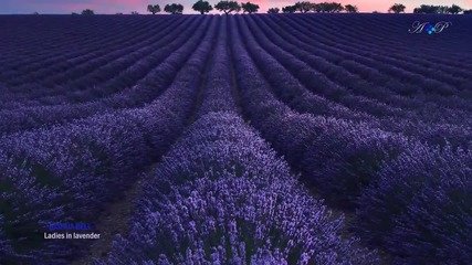 Ladies in Lavender - Joshua Bell