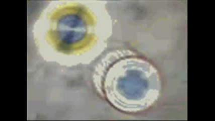 beyblade