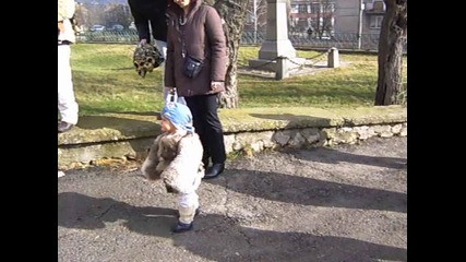 Кукер - Копаница 14.01.2011