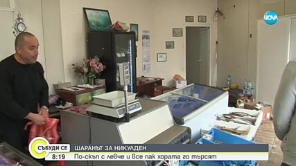 Дни преди Никулден: Колко по-скъп ще ни излезе шаранът тази година