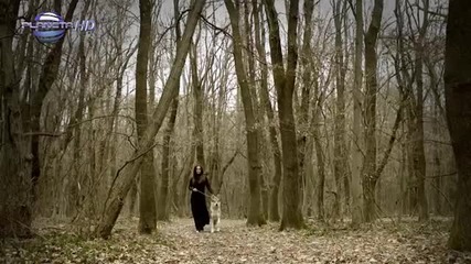 Глория - Безсъние / Insomnia ( Официално видео )