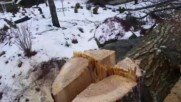 Забавен начин за рязане на дървета