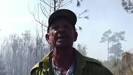 Куба се бори с мощни горски пожари