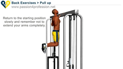 Pull Up Exercise for back!