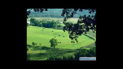 Релакс - Картините Говорят - Безгрижие 