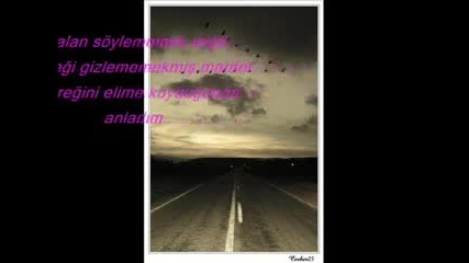 anladim