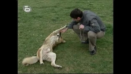 Music Idol 2 - 04.04.08г. - Иван Ангелов Се е усамотил в парка и  комуникира с добродушно кученце и споделя мисли!!!